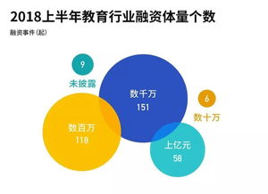 教育行業(yè)投融資熱潮中的隱形推手 誰在領(lǐng)跑教育軟件開發(fā)賽道？